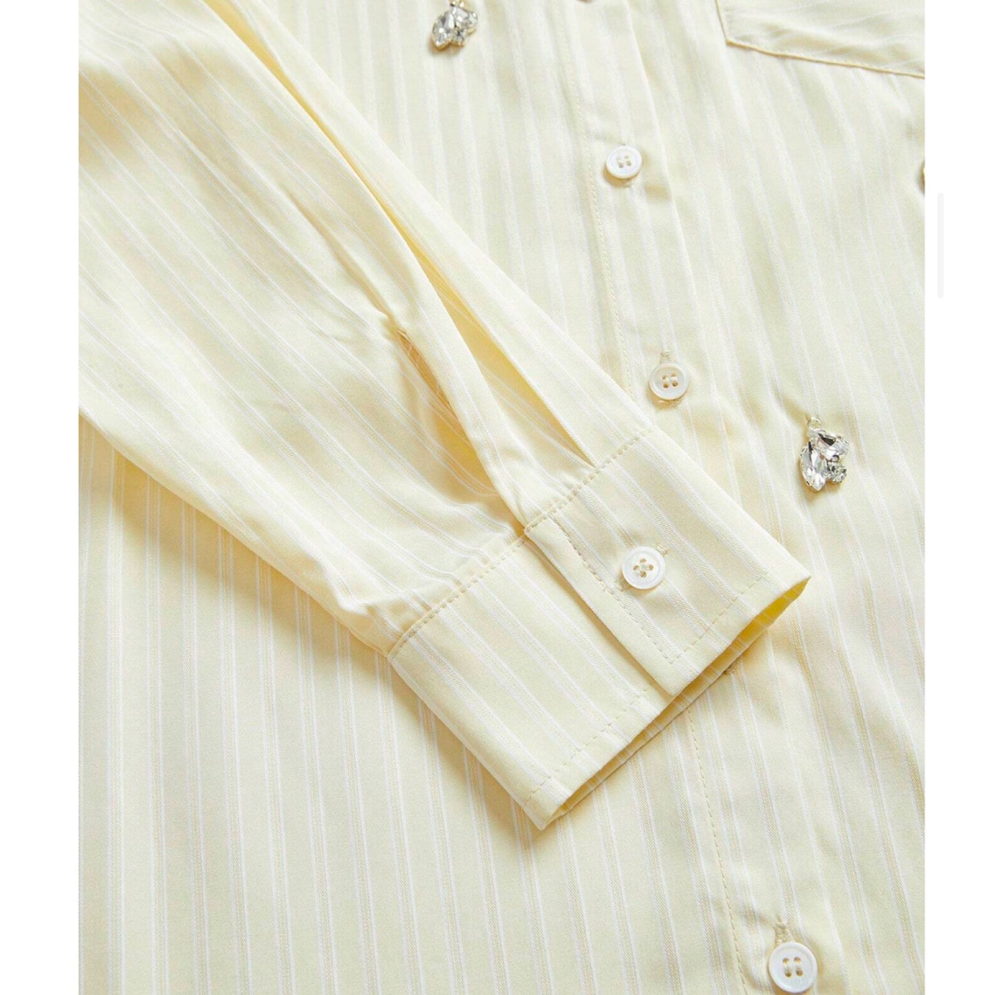 Set Camisa y Pantalón Recamado en Piedras